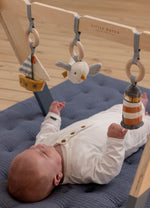 Baby Gym Palestrina, Little Dutch